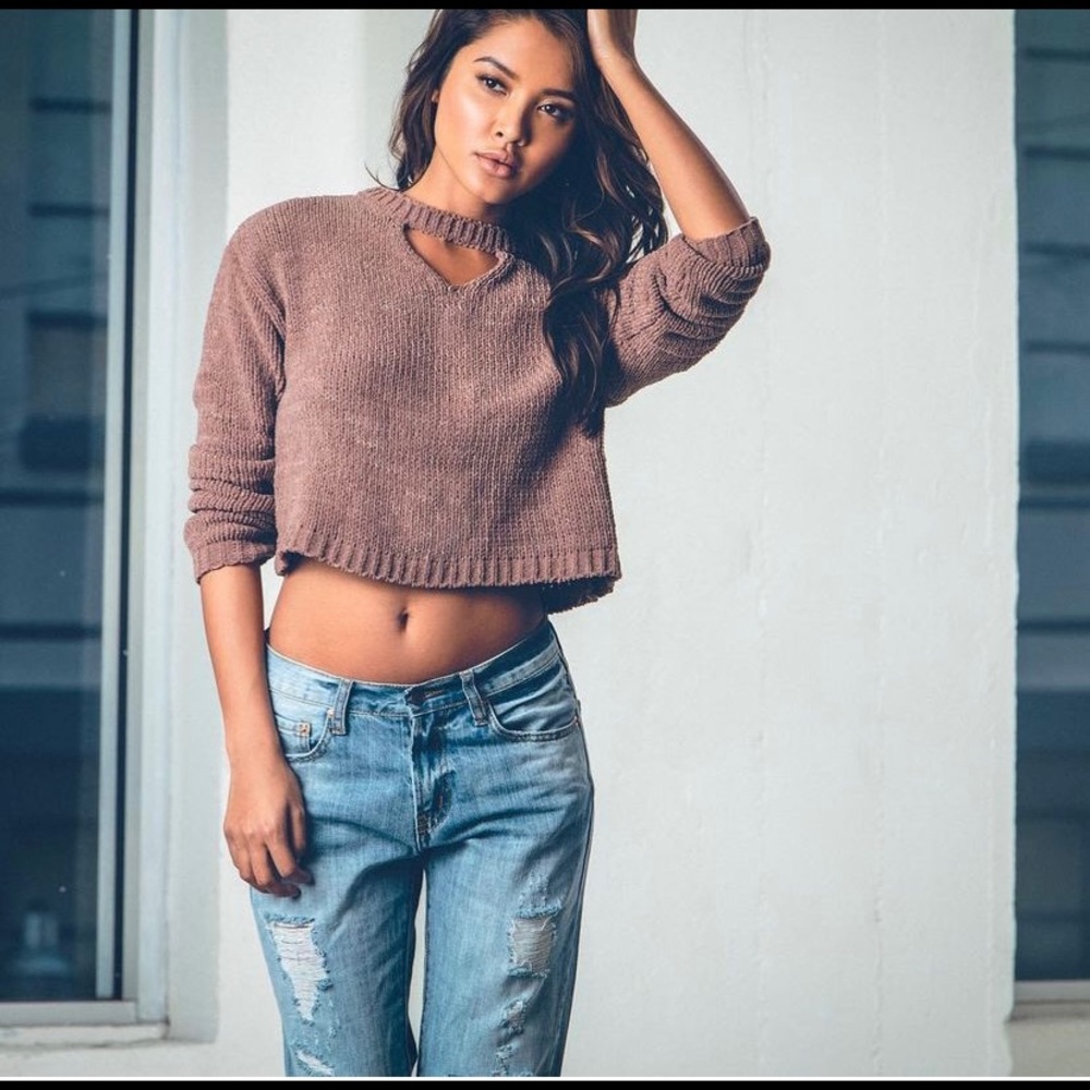 Sadie & Sage Brown Cropped Sweater